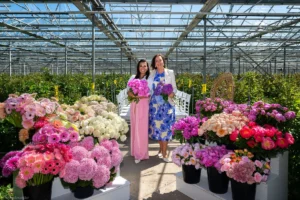 flora-and-story-netherlands-luxury-learning